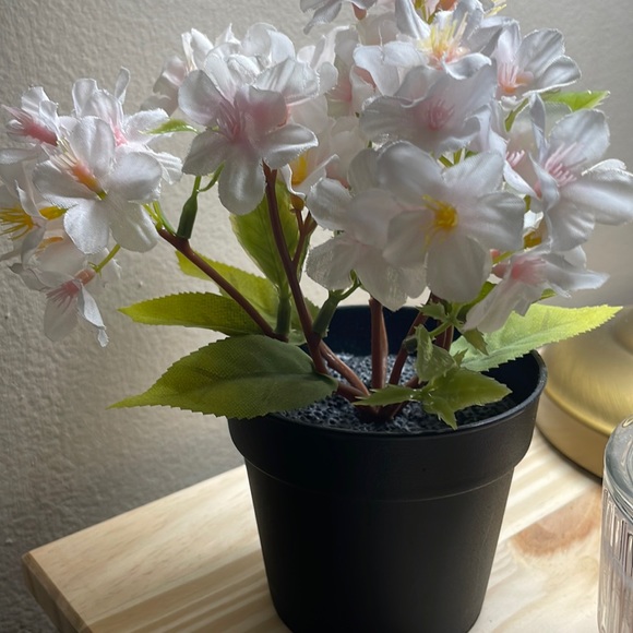 Meet your Posher, Jaspreet - Picture 1 of 1